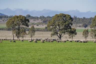 Farm Sold - NSW - Binya - 2665 - Multiple Incomes from this Picturesque Block  (Image 2)