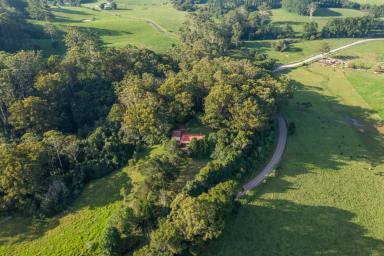 Farm Auction - NSW - Comboyne - 2429 - PRIVACY IS ASSURED  (Image 2)