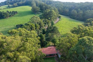 Farm Auction - NSW - Comboyne - 2429 - PRIVACY IS ASSURED  (Image 2)