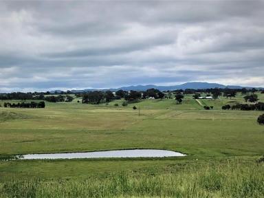 Farm For Sale - NSW - Orange - 2800 - 'The Valley' 12 kilometres east of Orange 2800  (Image 2)