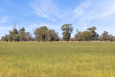 Farm Sold - VIC - Yarraberb - 3516 - Rare Opportunity in Yarraberb District - 286 Acres  (Image 2)