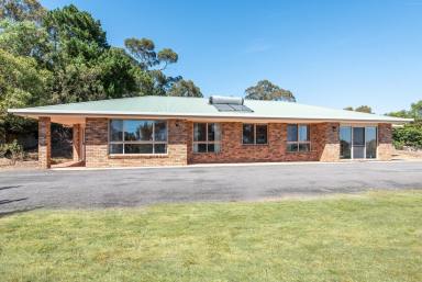 Farm For Sale - VIC - Coleraine - 3315 - Quality brick home with scenic outlook  (Image 2)