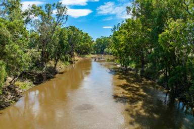 Farm Sold - NSW - Gooloogong - 2805 - 476ACRES* RIVERFRONT & FLOOD FREE BORE IRRIGATION!  (Image 2)
