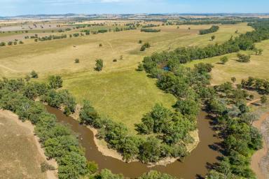 Farm Sold - NSW - Gooloogong - 2805 - 476ACRES* RIVERFRONT & FLOOD FREE BORE IRRIGATION!  (Image 2)