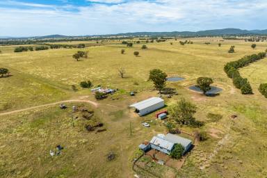 Farm Sold - NSW - Gooloogong - 2805 - 681ACRES* OF SOFT, ARABLE FARMING/GRAZING COUNTRY!  (Image 2)