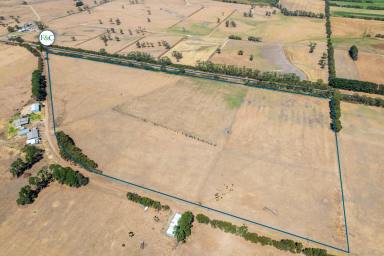 Farm For Sale - VIC - Ecklin South - 3265 - Lifestyle or Out Paddock  (Image 2)
