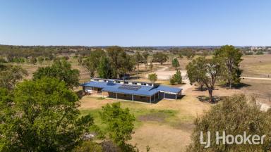 Farm For Sale - NSW - Inverell - 2360 - Prime Irrigation Property  (Image 2)