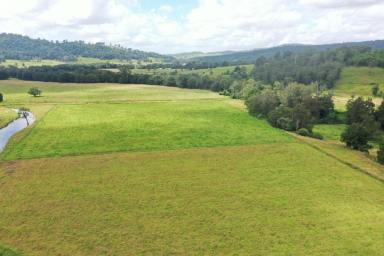 Farm For Sale - NSW - Kyogle - 2474 - "GHINNI GHI FARM" - 250 ACRES WITH IRRIGATION  (Image 2)