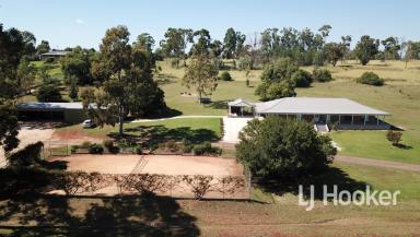 Farm For Sale - NSW - Inverell - 2360 - Amazing Views & Acreage on The Edge of Town  (Image 2)