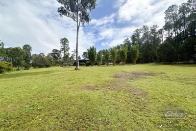 Farm For Sale - QLD - Glenwood - 4570 - PEACEFUL COUNTRY LIVING  (Image 2)