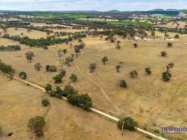 Farm Sold - SA - Eden Valley - 5235 - Perfect land holding. Flat to undulating land good water, wonderful sites for your amazing country home (STCC)  (Image 2)