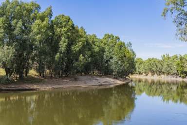 Farm For Sale - NSW - Wagga Wagga - 2650 - Rare River Property Only Five* Minutes to the Wagga Wagga CBD  (Image 2)