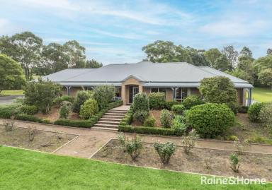 Farm For Sale - NSW - Berry - 2535 - Between the Beach & Berry  (Image 2)