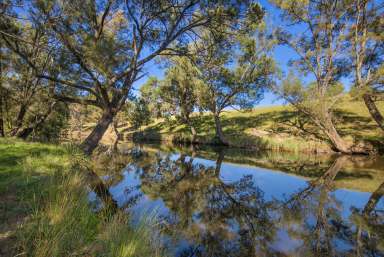 Farm Sold - NSW - Armidale - 2350 - Peaceful Countryside Retreat  (Image 2)