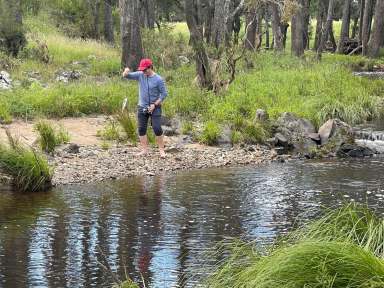 Farm Sold - NSW - Armidale - 2350 - Peaceful Countryside Retreat  (Image 2)