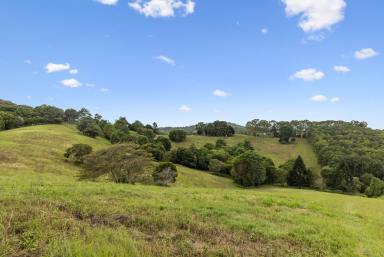Farm For Sale - QLD - Pinbarren - 4568 - Pimperon Park - Panoramic Noosa Hinterland Views  (Image 2)