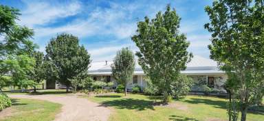 Farm Sold - NSW - Vacy - 2421 - 'Glen Vista' Riverfront Rural Lifestyle  (Image 2)