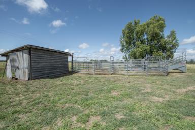 Farm Sold - QLD - Thangool - 4716 - Rural Lifestyle Opportunity Awaits  (Image 2)