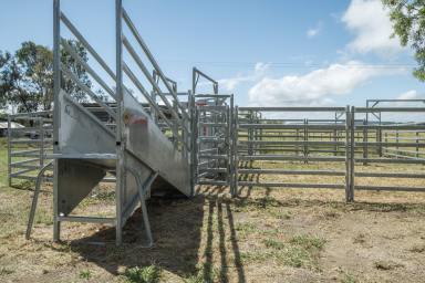 Farm Sold - QLD - Thangool - 4716 - Rural Lifestyle Opportunity Awaits  (Image 2)
