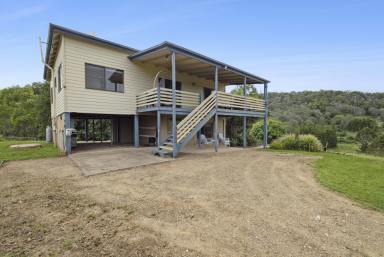 Farm For Sale - QLD - Kandanga Creek - 4570 - Idyllic property with views from the top of the valley  (Image 2)