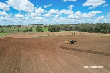 Farm For Sale - NSW - Inverell - 2360 - DIVERSE AGRICULTURAL PROPERTY  (Image 2)