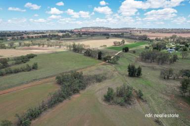 Farm For Sale - NSW - Inverell - 2360 - DIVERSE AGRICULTURAL PROPERTY  (Image 2)