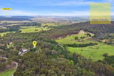 Farm Auction - NSW - Goulburn - 2580 - Peaceful Native Retreat  (Image 2)