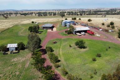Farm For Sale - NSW - Young - 2594 - The Ultimate Lifestyle Property,  (Image 2)