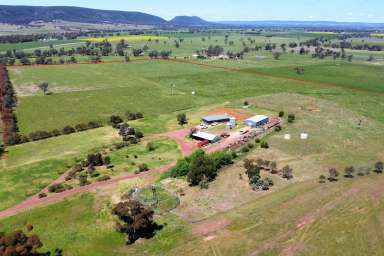 Farm For Sale - NSW - Young - 2594 - Productive Lifestyle Property with Great Views.  (Image 2)