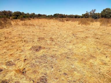 Farm For Sale - WA - Hopeland - 6125 - "I DID IT MY WAY" 138 Acres of Pure Serenity in Hopeland, WA. Don't Miss This Rare Opportunity!
TENDERS Close 5 pm - 30 April 2024  (Image 2)
