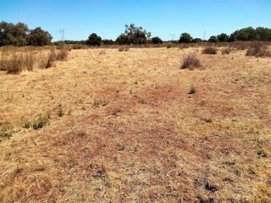 Farm For Sale - WA - Hopeland - 6125 - "I DID IT MY WAY" 138 Acres of Pure Serenity in Hopeland, WA. Don't Miss This Rare Opportunity!
TENDERS Close 5 pm - 30 April 2024  (Image 2)