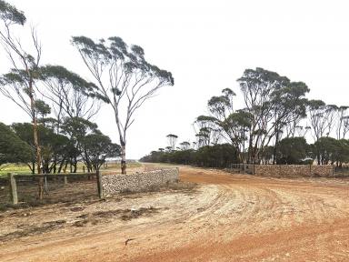 Farm For Sale - WA - Salmon Gums - 6445 - Ready to Roll for 2024 Season!  (Image 2)