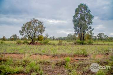 Farm For Sale - NSW - Eumungerie - 2822 - All Offers Considered !  (Image 2)