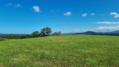 Farm For Sale - QLD - East Russell - 4861 - Acreage Property 12.5 Acres  (Image 2)
