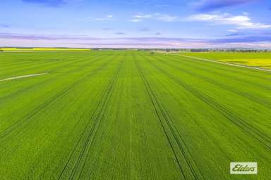 Farm For Sale - VIC - Willaura - 3379 - Premium Western District Cropping Opportunity  (Image 2)