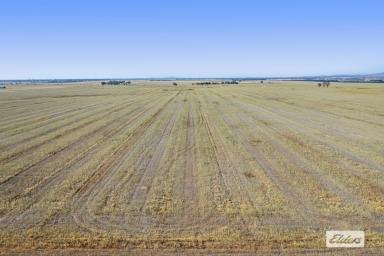Farm For Sale - VIC - Willaura - 3379 - Premium Cropping Opportunity  (Image 2)