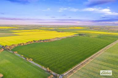 Farm For Sale - VIC - Willaura - 3379 - Premium Western District Cropping Opportunity  (Image 2)