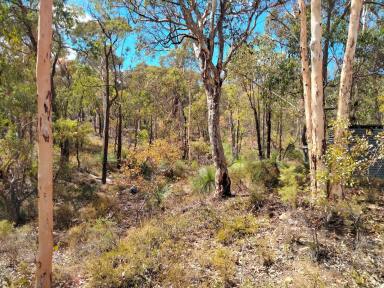 Farm For Sale - WA - Chittering - 6084 - "Escape to your own private oasis in Chittering. On 2.23 hectares of untouched land. 
TENDERS Close 30 April 2024  (Image 2)