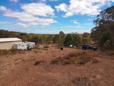 Farm For Sale - WA - Chittering - 6084 - NATURES  GEM - WEEKENDER - BUILD YOUR ULTIMATE HOME  (Image 2)