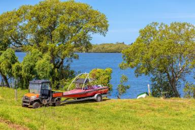 Farm For Sale - NSW - Dumaresq Island - 2430 - Rare opportunity at 154.4 acres on the exclusive Dumaresq Island  (Image 2)