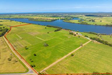 Farm For Sale - NSW - Dumaresq Island - 2430 - Rare opportunity at 154.4 acres on the exclusive Dumaresq Island  (Image 2)
