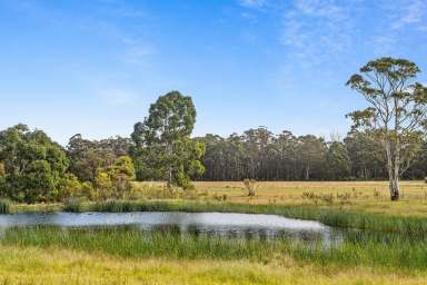 Farm For Sale - NSW - High Range - 2575 - Country Dual-Living  (Image 2)