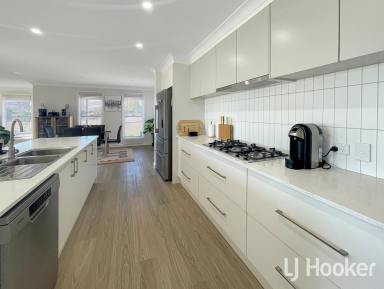 Farm For Sale - NSW - Inverell - 2360 - Modern Luxury on 1 Hectare  (Image 2)