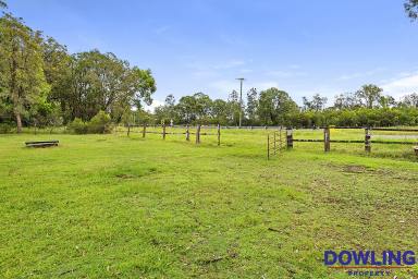 Farm For Sale - NSW - Medowie - 2318 - RARE ACREAGE OPPORTUNITY  (Image 2)