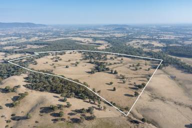 Farm For Sale - VIC - Moorngag - 3673 - Spectacular Grazing Property in the heart of the Samaria Ranges  (Image 2)