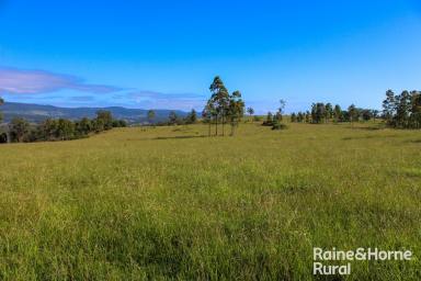 Farm For Sale - NSW - Mummulgum - 2469 - Panoramic Haven  (Image 2)