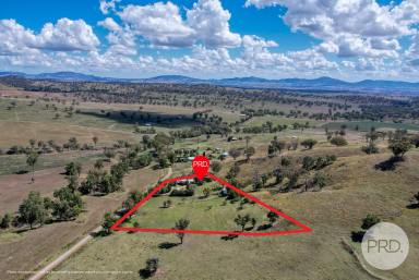 Farm For Sale - NSW - Loomberah - 2340 - Priced to Sell! 5 Acre Lifestyle Retreat  (Image 2)