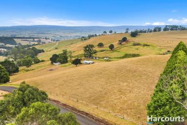 Farm For Sale - VIC - Trafalgar South - 3824 - 115 Acres of Opportunity  (Image 2)