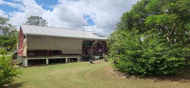 Farm For Sale - QLD - Damascus - 4671 - This beautiful 3 bedrooms, 1 bathroom home on 22 acres  (Image 2)