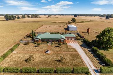 Farm For Sale - VIC - Pootilla - 3352 - Attractive, 4 BR, Brick Veneer Home: 112.91Ha (approx. 279.45 acres) Exc. Water.  (Image 2)